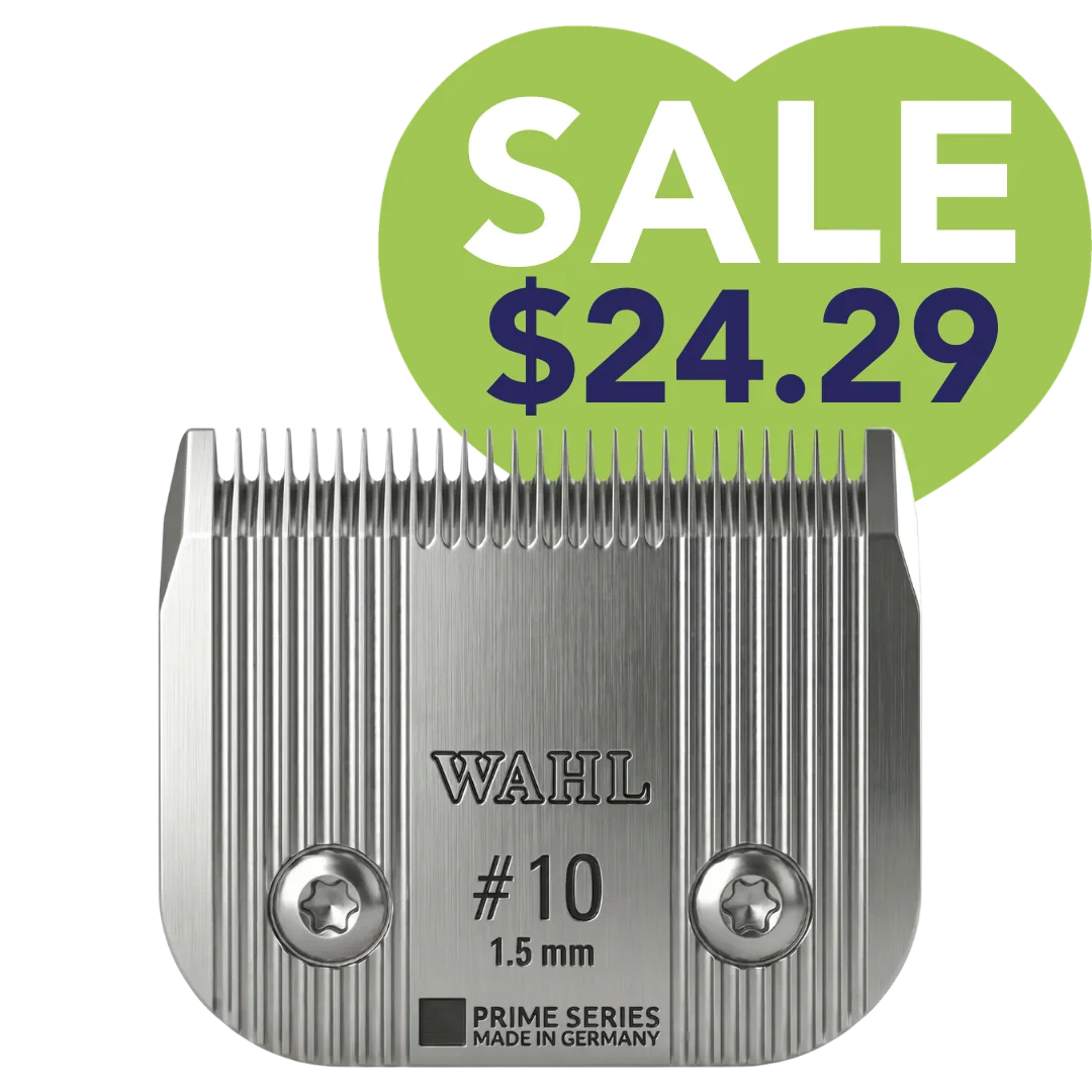 Top Deals